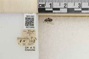 Media type: image;   Entomology 773040 Aspect: Labels